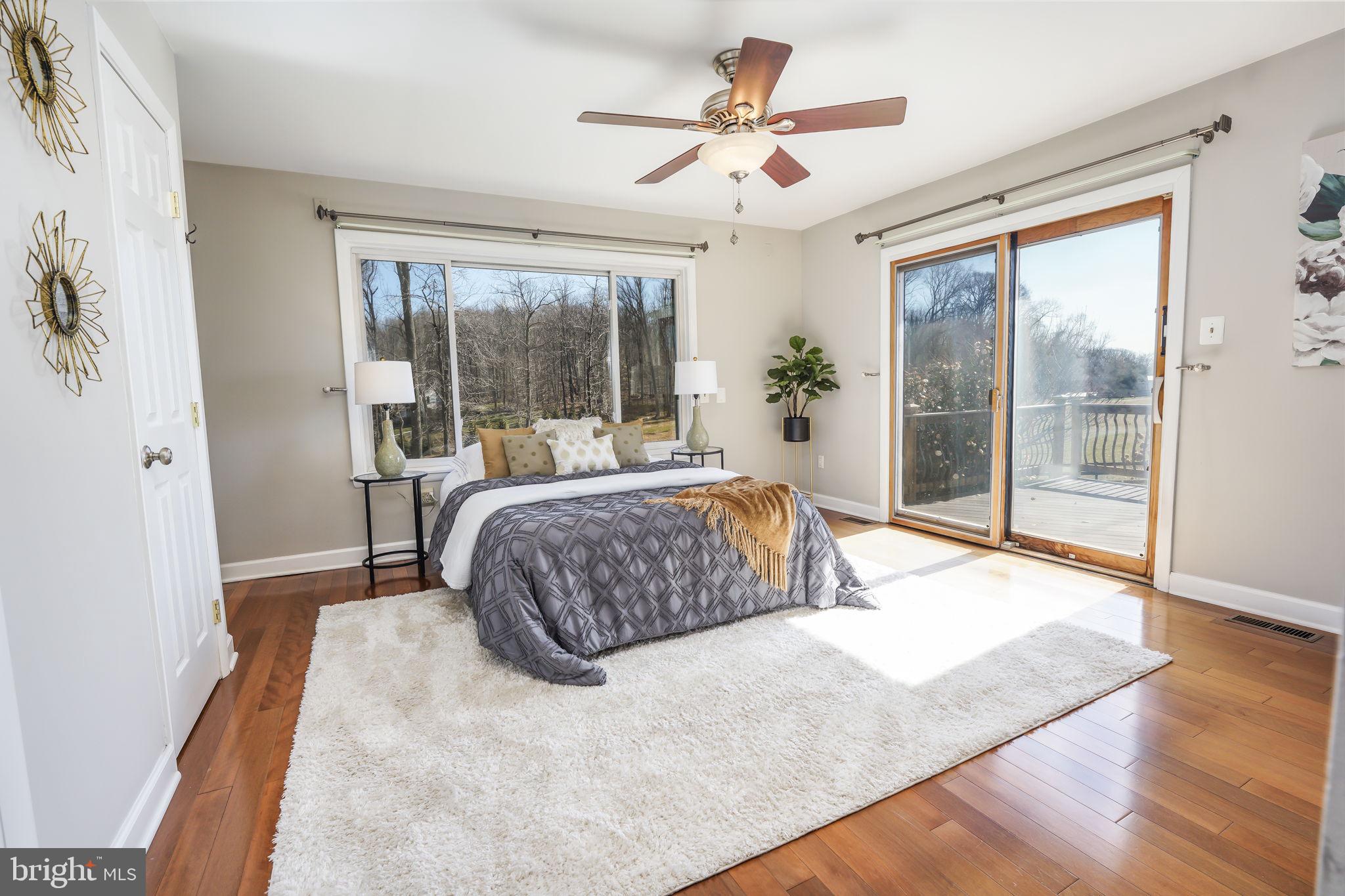6239 Beverleys Mill Road Broad Run, VA 20137 - Photo 10 of 70 sunny primary bedroom with pasture views