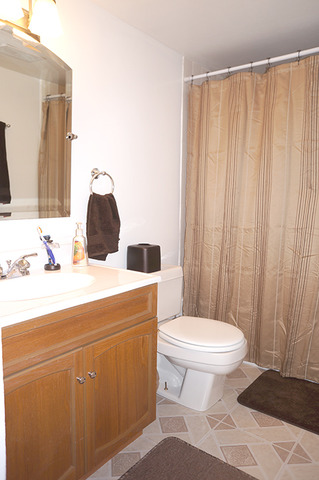1 Renaissance Place, Unit 200 Palatine, IL 60067 - Photo 13 of 19 a bathroom with a sink a toilet and shower curtain