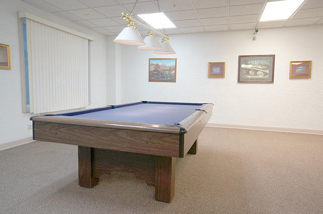 1 Renaissance Place, Unit 200 Palatine, IL 60067 - Photo 14 of 19 a room with pool table and windows