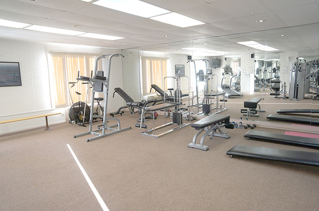 1 Renaissance Place, Unit 200 Palatine, IL 60067 - Photo 18 of 19 a view of a room with gym equipment
