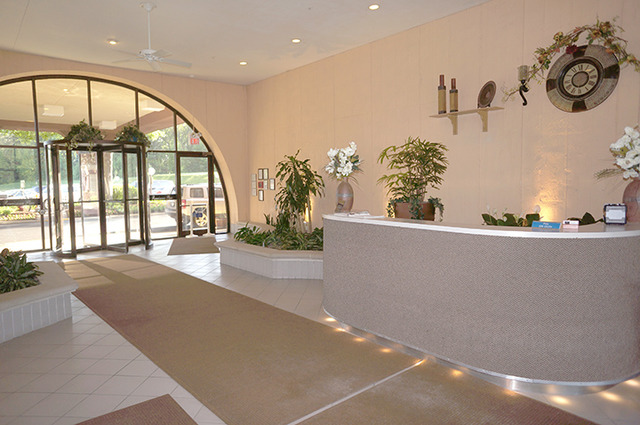 1 Renaissance Place, Unit 200 Palatine, IL 60067 - Photo 19 of 19 a view of swimming pool from a balcony