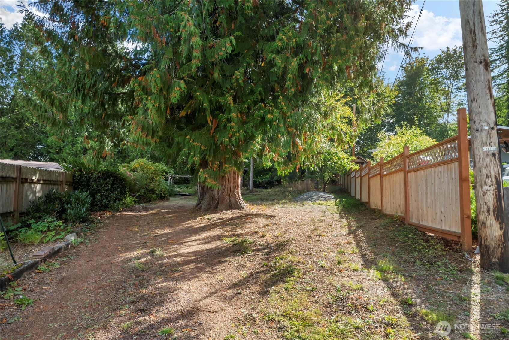 5128 335th Lane Southeast Fall City, WA 98024 - Photo 2 of 36 a view of a yard with plants and trees