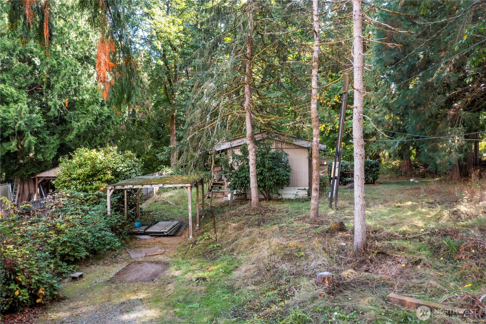 5128 335th Lane Southeast Fall City, WA 98024 - Photo 6 of 36 a backyard of a house with lots of green space