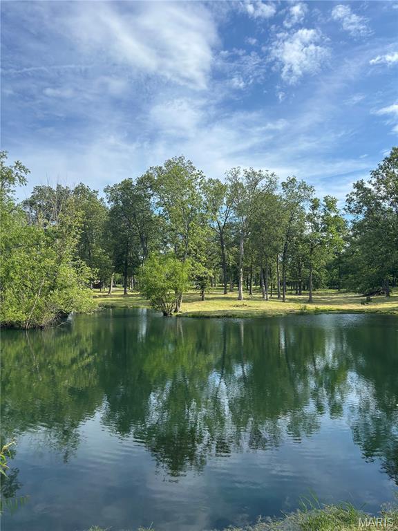 5961 Busiek Road Farmington, MO 63640 - Photo 80 of 86