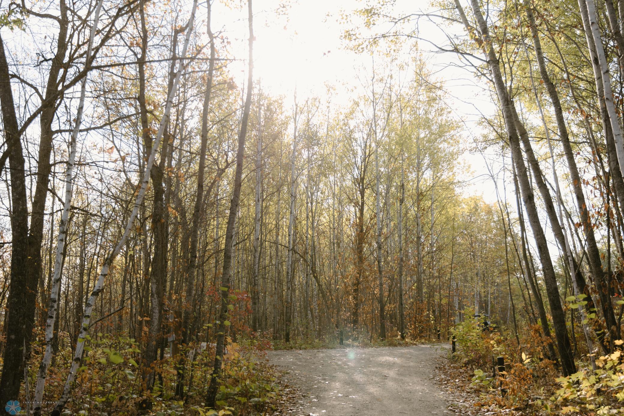 21574 State 200 Bagley, MN 56621 - Photo 94 of 100
