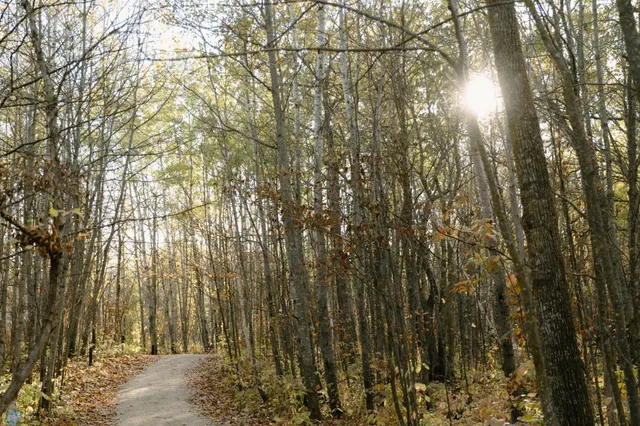 $1,700,000 | 21574 State 200, Bagley, MN 56621