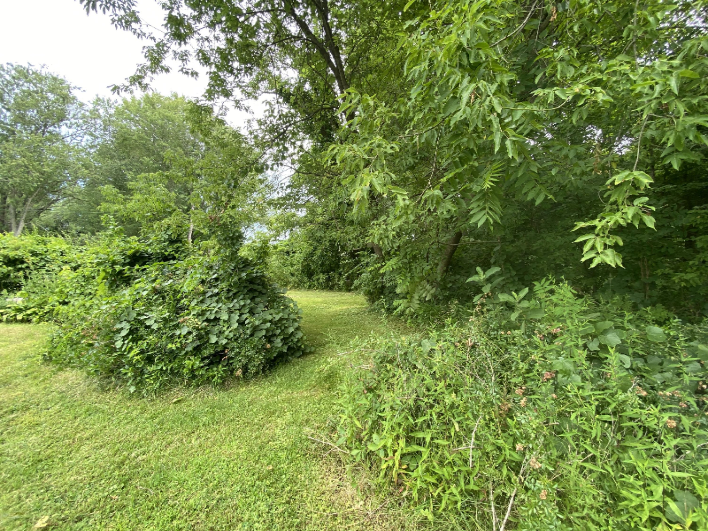 3120 West Thar Road Coloma, MI 49038 - Photo 20 of 26 D87ABA38-2E76-4B3B-9D32-0D8823881D9F
