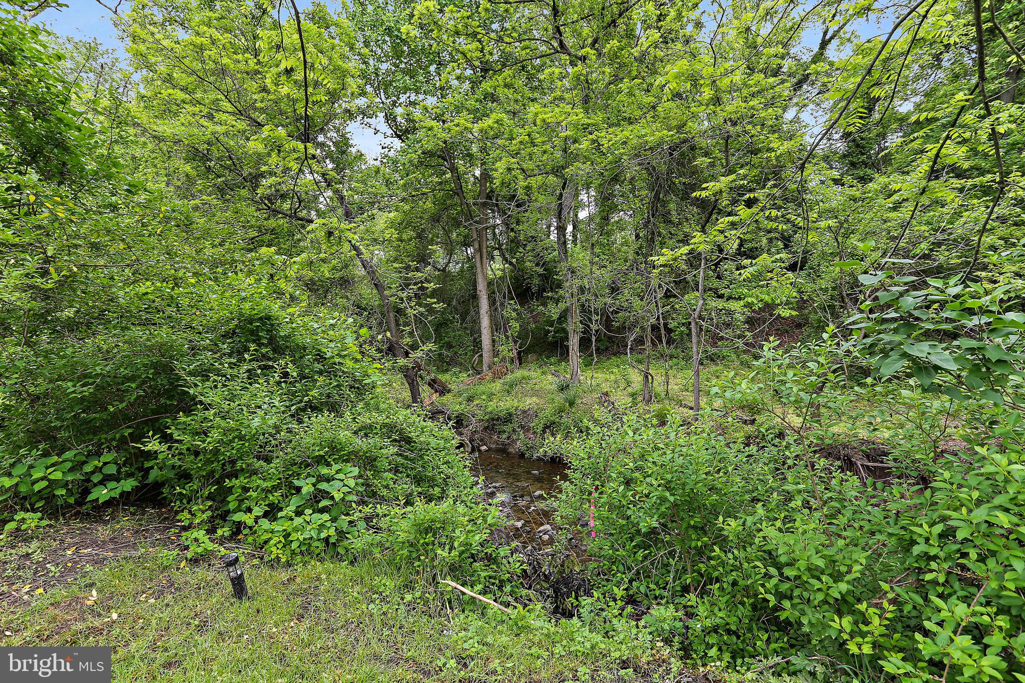 8560 Frederick Road Ellicott City, MD 21043 - Photo 31 of 31 Green Area