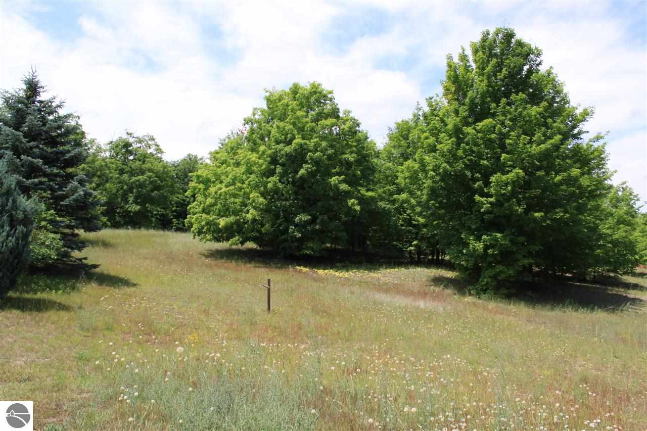 12772 Litzen Road Copemish, MI 49625 - Photo 20 of 57 1778614-19.JPG