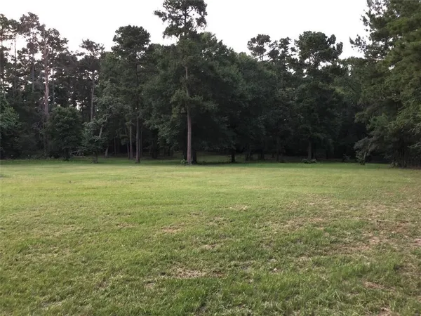 $950 | 20272 Forest Woods Lane, Unit B, Montgomery, TX 77356