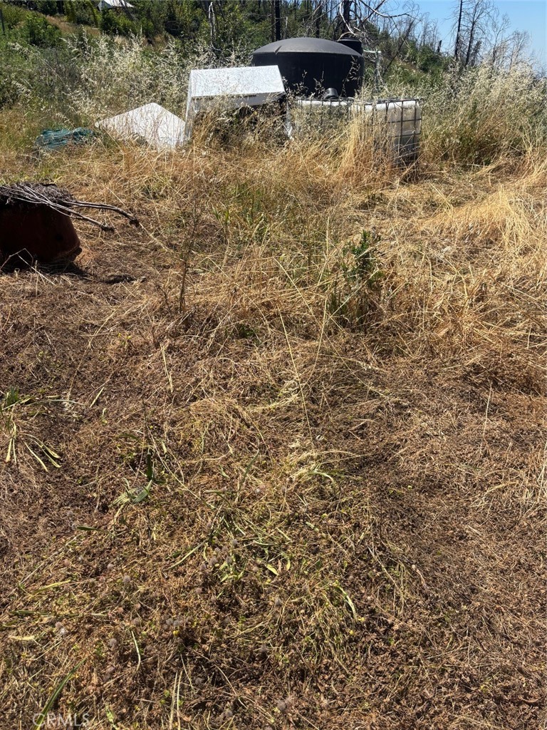 31 Rip Van Way Berry Creek, CA 95916 - Photo 6 of 6