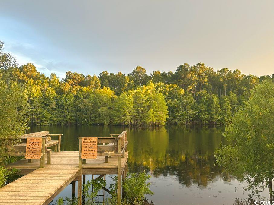 214 Rum Bluff Boulevard Longs, SC 29568 - Photo 35 of 36 Dock with a water view and a wooded view