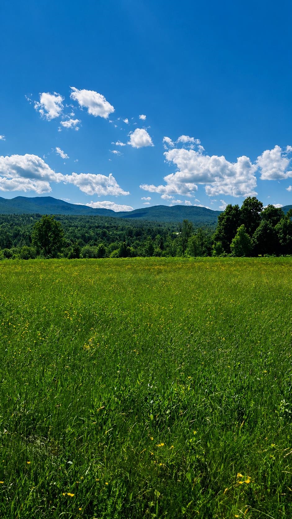 237 Loop Road Jay, VT 05859 - Photo 11 of 34
