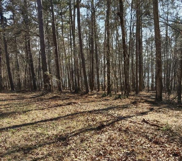 12425 Panhandle Road Hampton, GA 30228 - Photo 7 of 7 Gallery Image 7