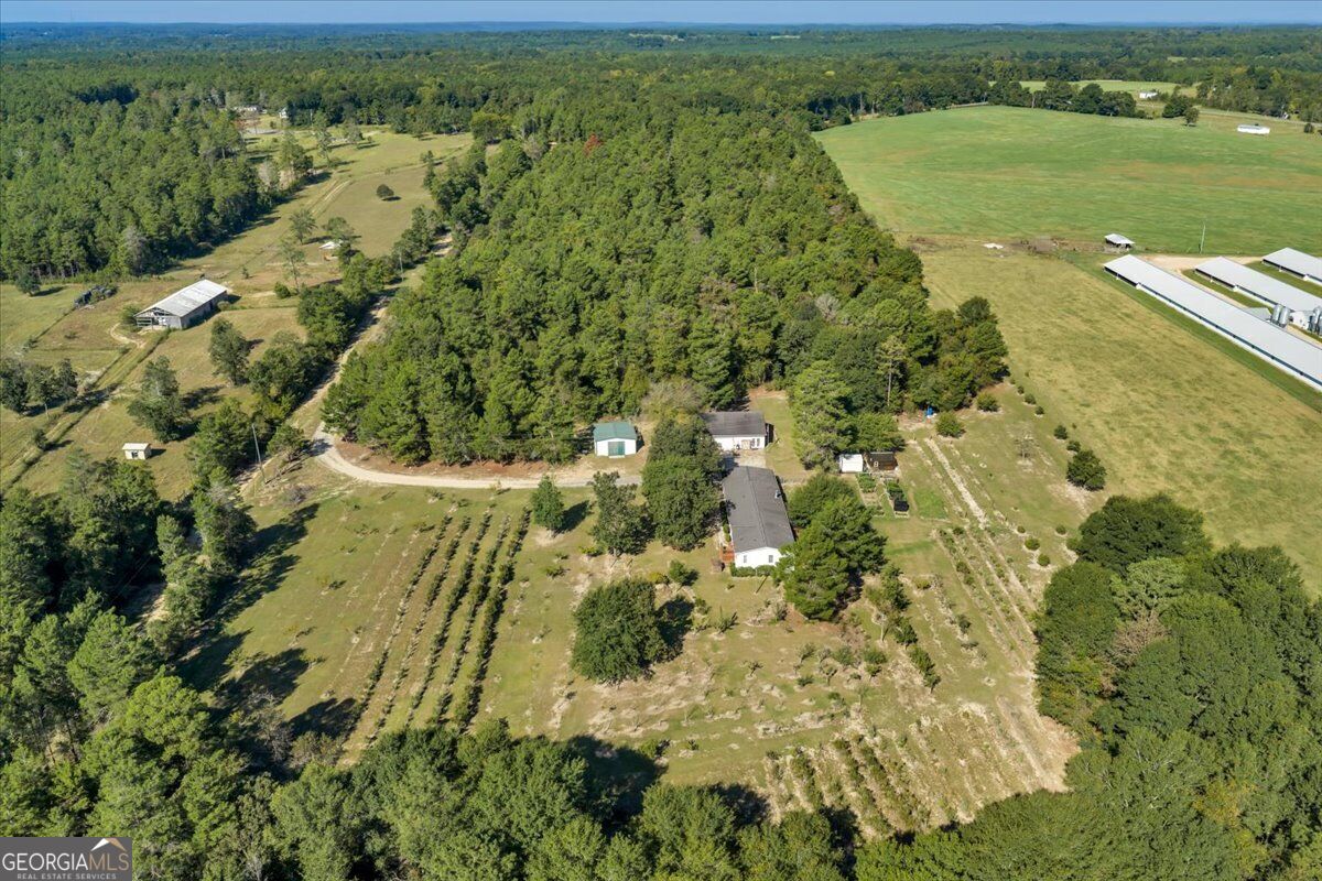319 Pope Road Roberta, GA 31078 - Photo 69 of 93 Gallery Image 69