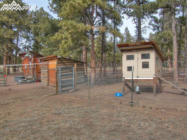 272 Twinkle Road Guffey, CO 80820 - Photo 27 of 36