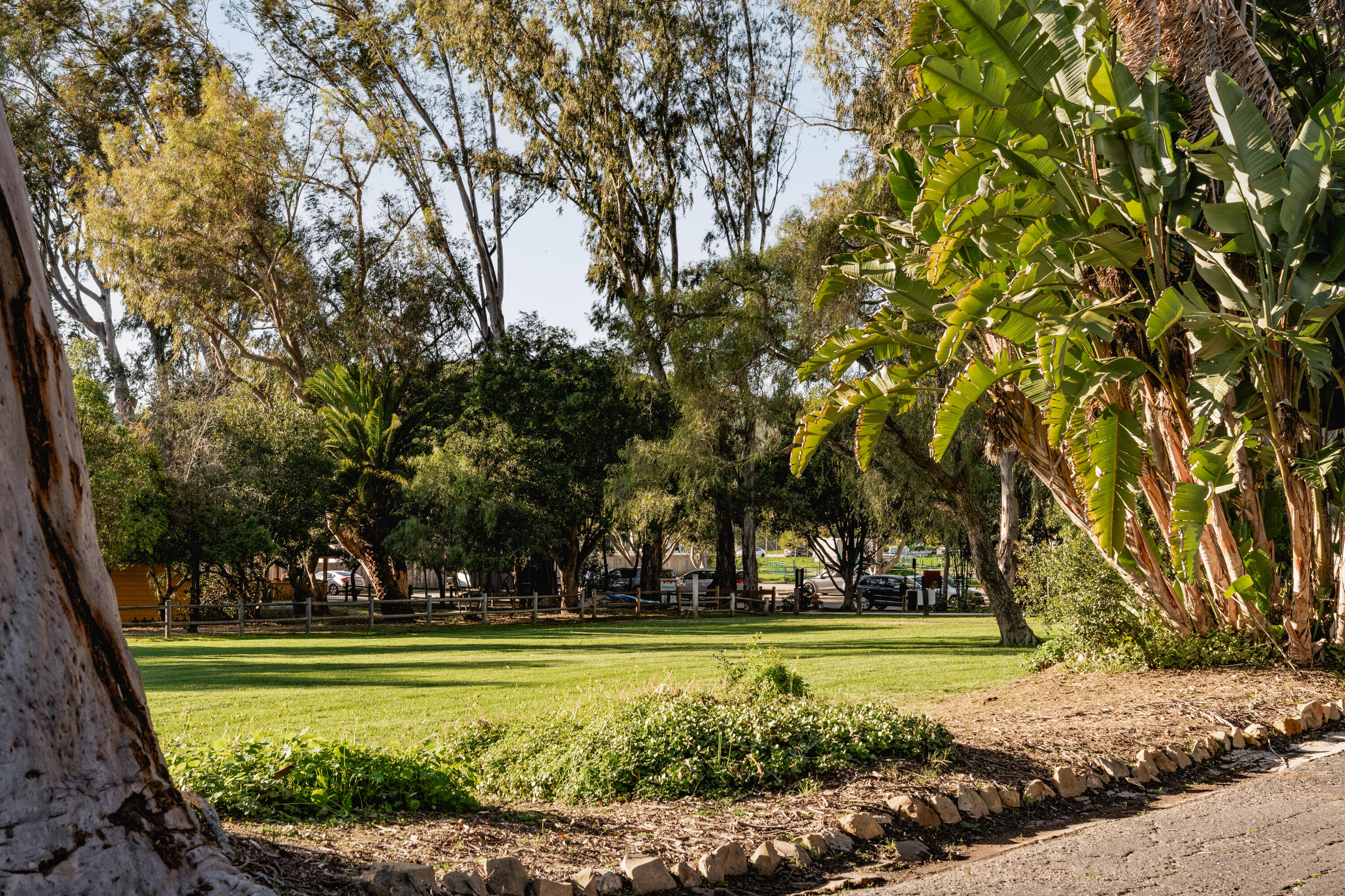 571 Windsor Avenue Goleta, CA 93117 - Photo 40 of 43 a view of yard with swimming pool and green space