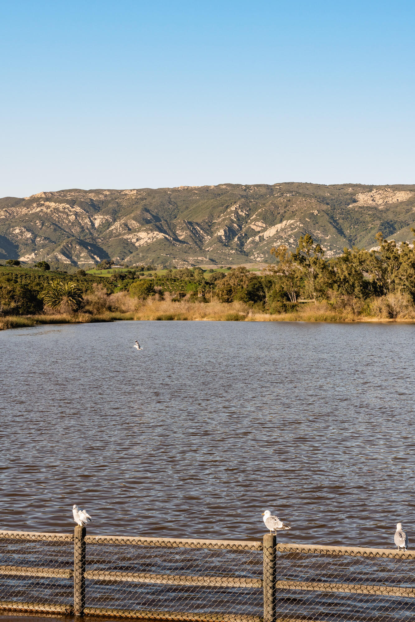 571 Windsor Avenue Goleta, CA 93117 - Photo 43 of 43 a view of lake view and mountain