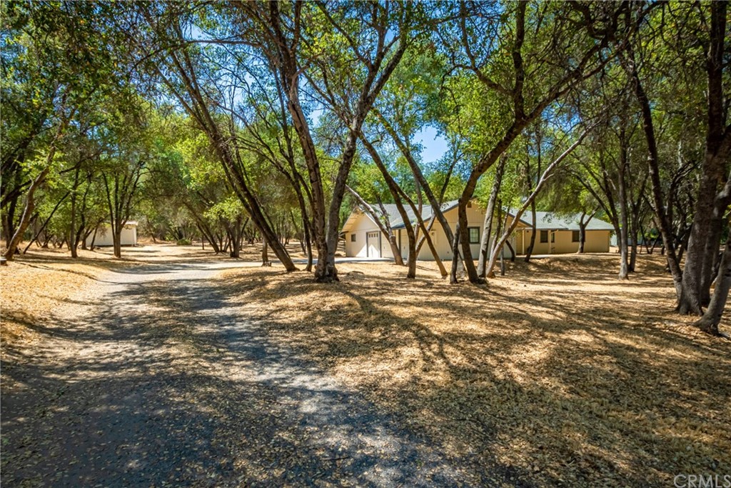 31356 Crow Road Coarsegold, CA 93614 - Photo 1 of 1 Home sits on beautiful private 1 acre lot.