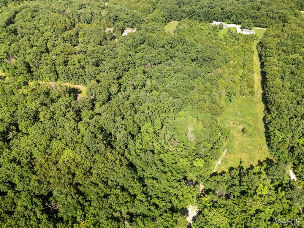 9-acres Timber Ridge Drive Marthasville, MO 63357 - Photo 12 of 22