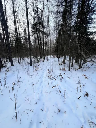 $79,900 | 67 County Road 67, Grand Rapids, MN 55744