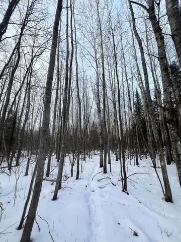 $79,900 | 67 County Road 67, Grand Rapids, MN 55744