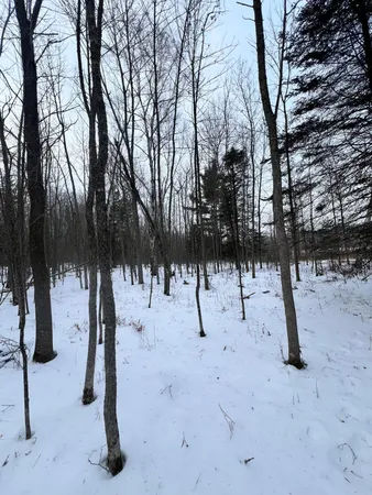 $79,900 | 67 County Road 67, Grand Rapids, MN 55744