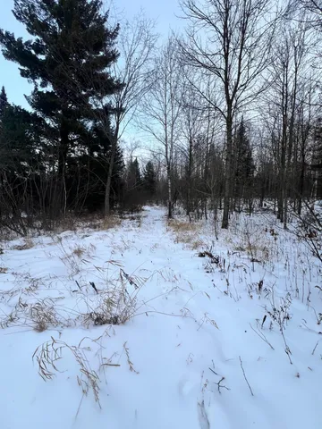 $79,900 | 67 County Road 67, Grand Rapids, MN 55744