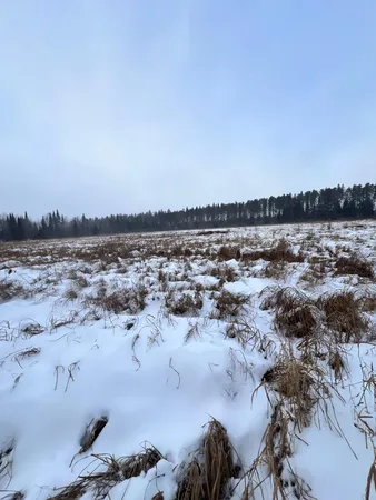 $79,900 | 67 County Road 67, Grand Rapids, MN 55744