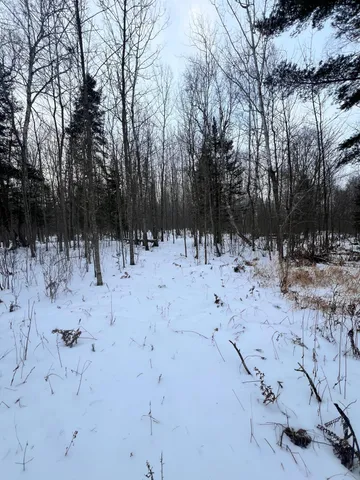 $79,900 | 67 County Road 67, Grand Rapids, MN 55744