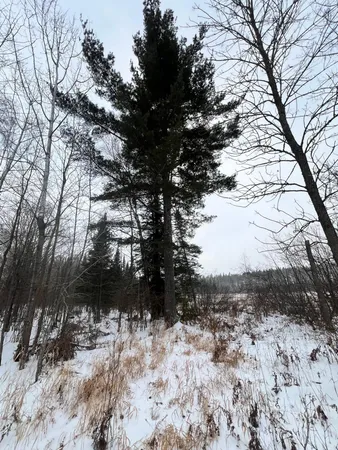 $79,900 | 67 County Road 67, Grand Rapids, MN 55744