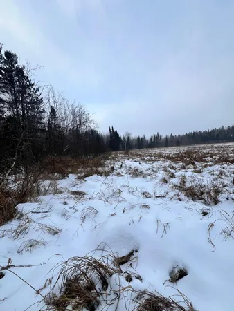 $79,900 | 67 County Road 67, Grand Rapids, MN 55744