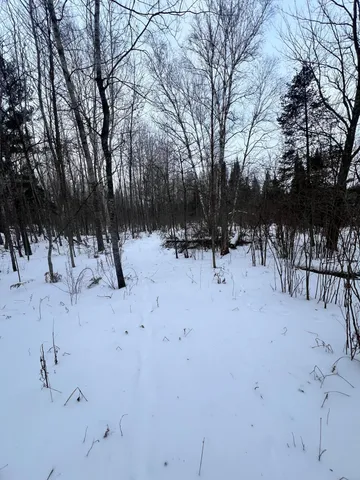 $79,900 | 67 County Road 67, Grand Rapids, MN 55744