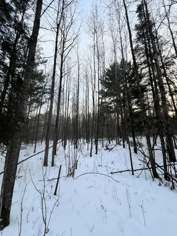 $79,900 | 67 County Road 67, Grand Rapids, MN 55744