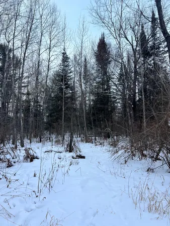 $79,900 | 67 County Road 67, Grand Rapids, MN 55744