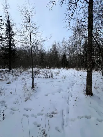 $79,900 | 67 County Road 67, Grand Rapids, MN 55744