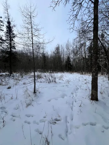 $79,900 | 67 County Road 67, Grand Rapids, MN 55744