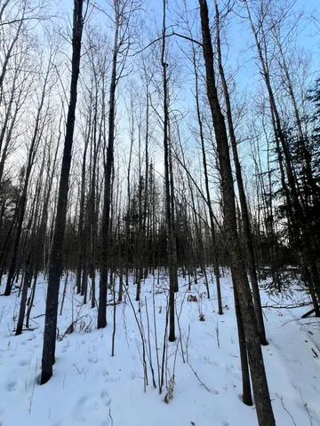 $79,900 | 67 County Road 67, Grand Rapids, MN 55744