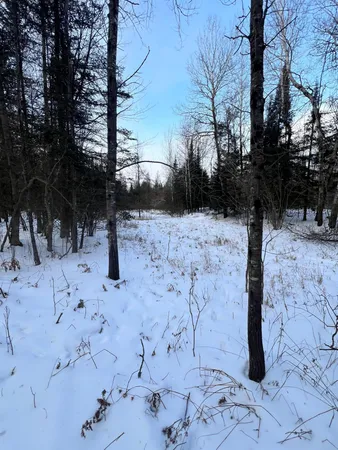 $79,900 | 67 County Road 67, Grand Rapids, MN 55744