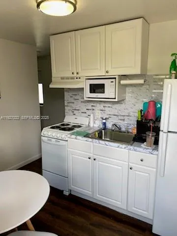 a kitchen with stainless steel appliances a sink a stove a white refrigerator a cabinets and a potted plant