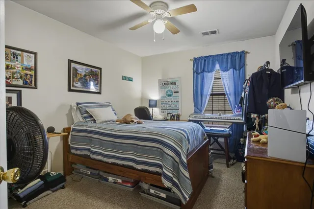 a living room with a couch and a potted plant