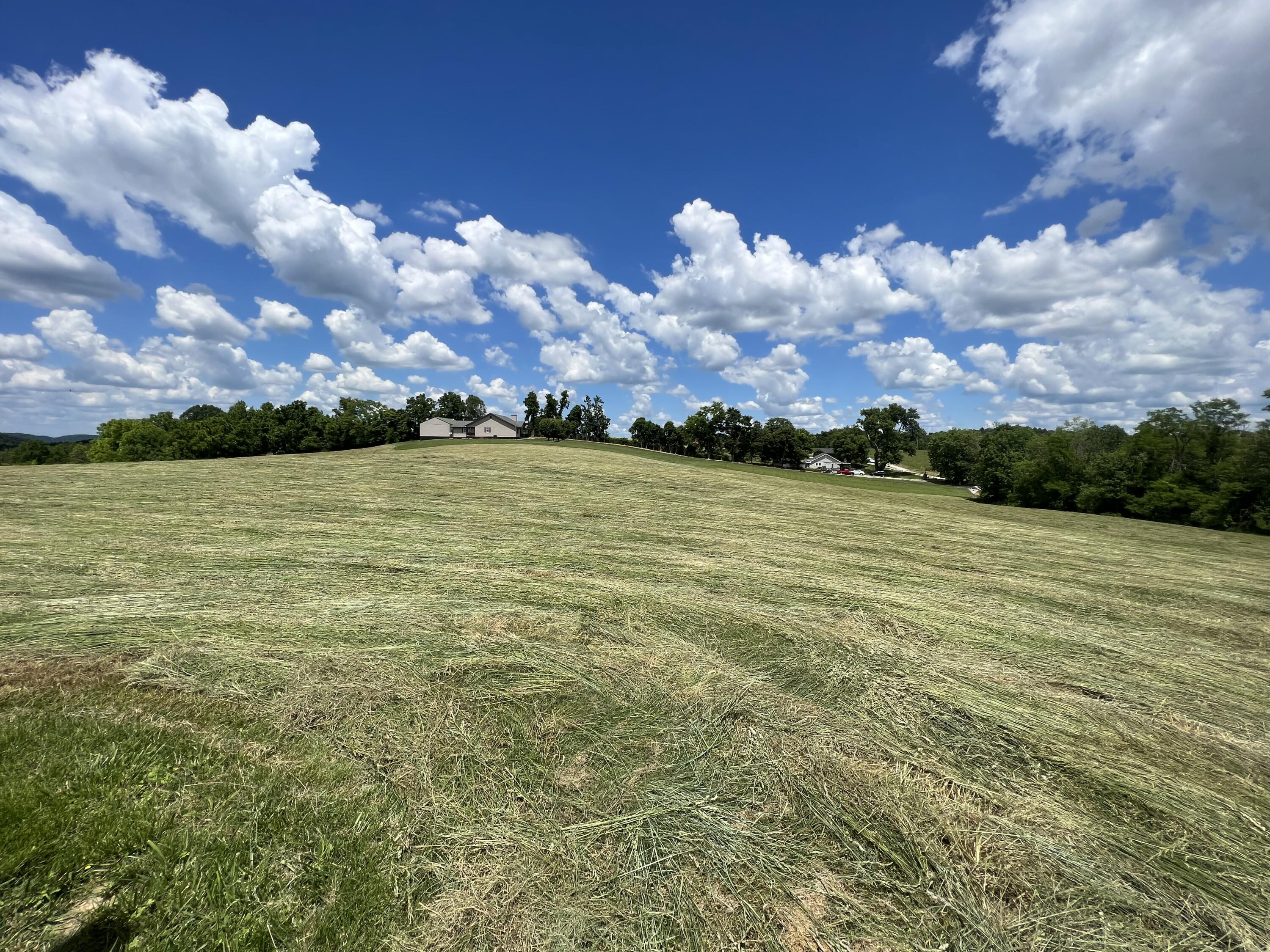 9999 Chestnut Grove Road Brodhead, KY 40409 - Photo 18 of 67 7F0D76EA-5C0F-4FBD-974B-BC47DD3B8721