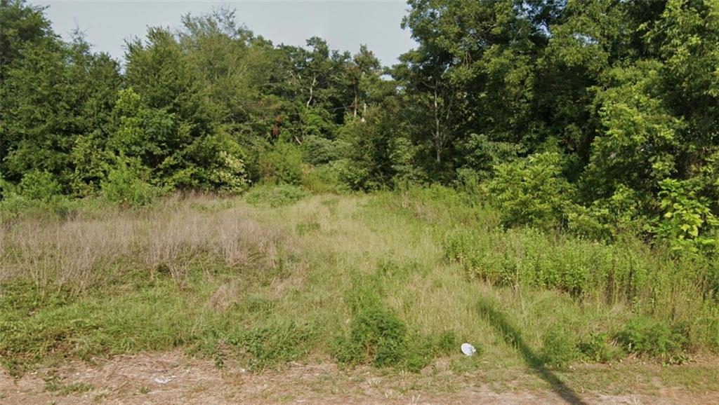 72 Henry Way Hawkinsville, GA 31036 - Photo 1 of 2 a view of a garden with a tree