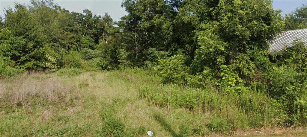 72 Henry Way Hawkinsville, GA 31036 - Photo 2 of 2 a view of a lush green space