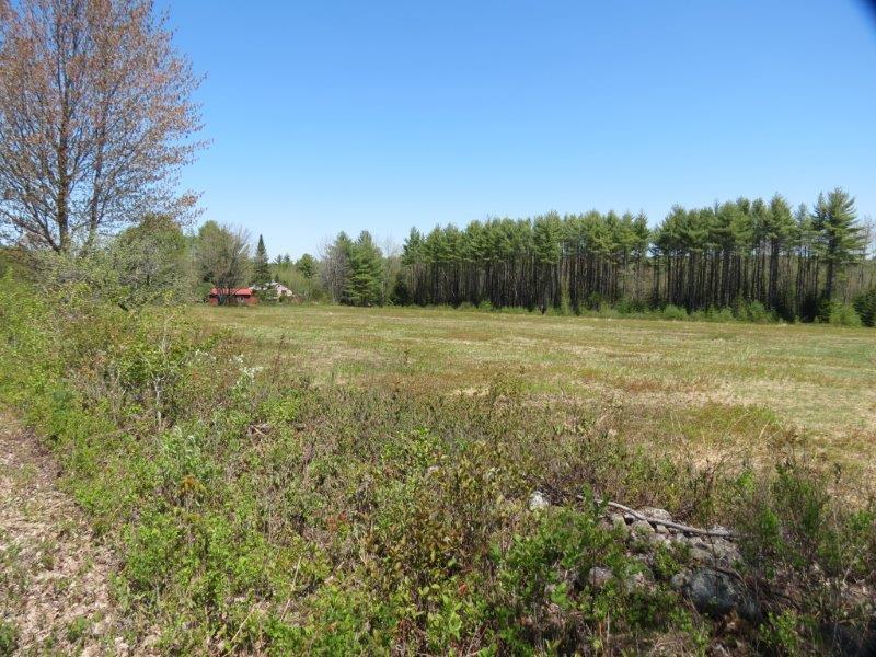 Lot 25 Chaplin's Mill Road Naples, ME 04055 - Photo 6 of 11 Open land to left of farm