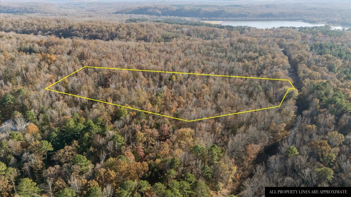 0 Cuba Landing Road Waverly, TN 37185 - Photo 11 of 22 a view of a dry yard