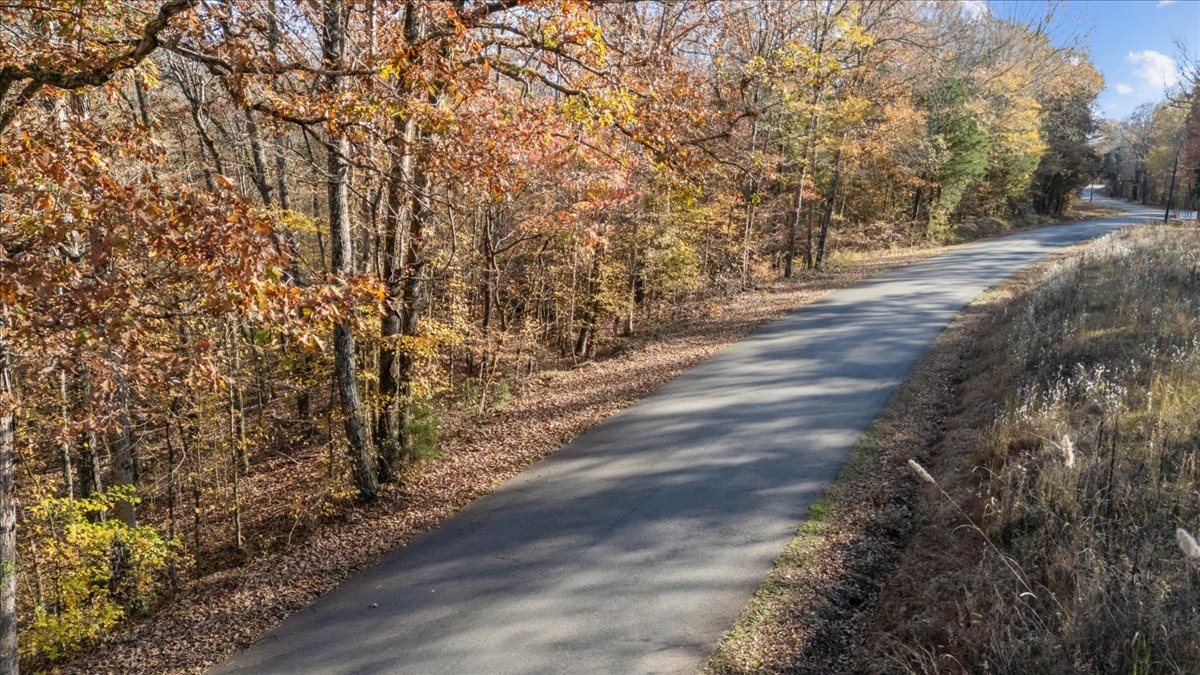 0 Cuba Landing Road Waverly, TN 37185 - Photo 5 of 22 a view of a yard with a trees