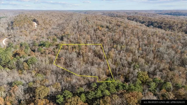 a view of a dry yard