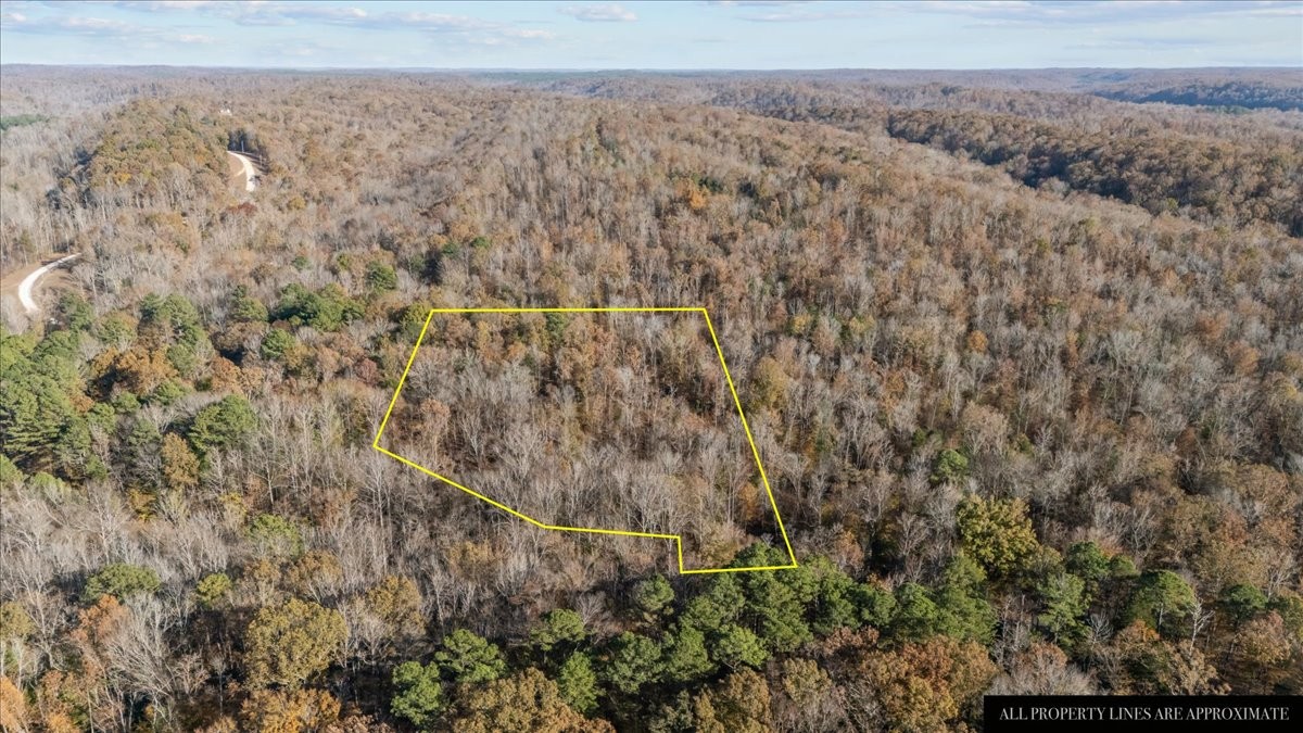 0 Cuba Landing Road Waverly, TN 37185 - Photo 6 of 22 a view of a yard