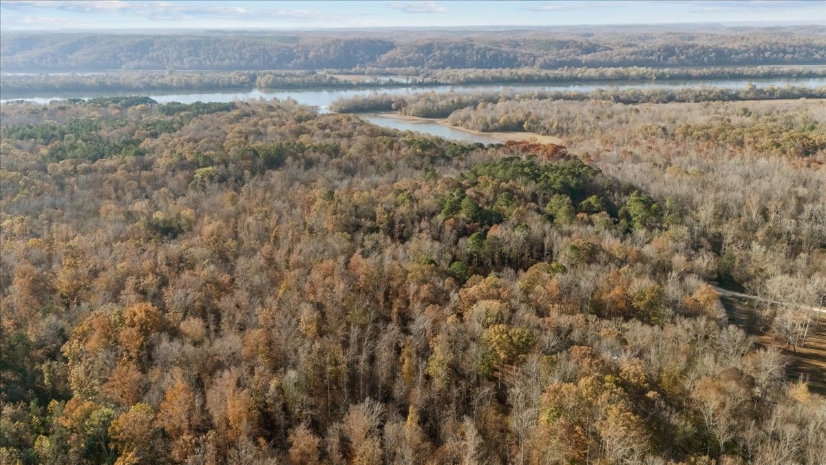 0 Cuba Landing Road Waverly, TN 37185 - Photo 8 of 22